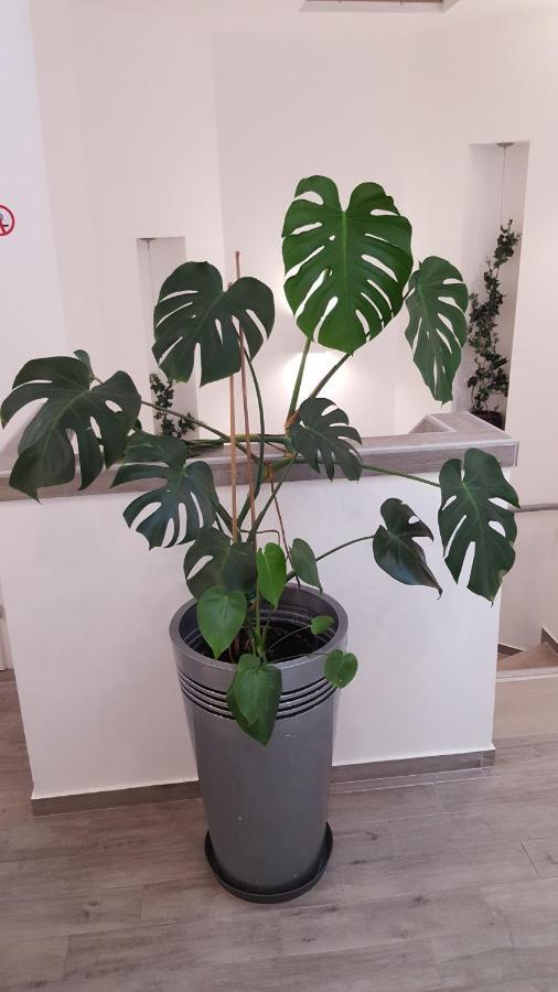 Centar Vodice Apartmani 외부 사진